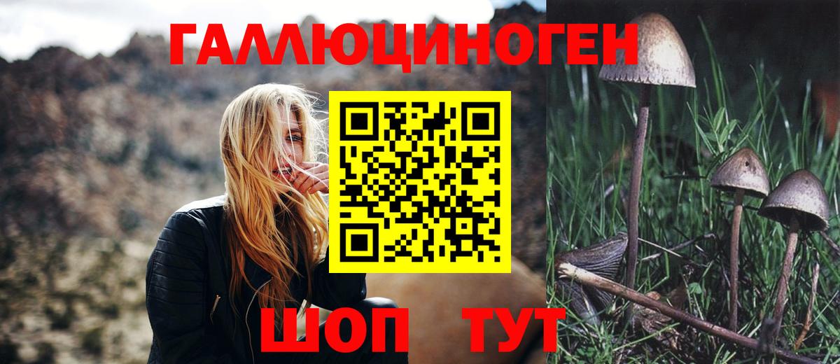 наркошоп  Вход с VPN  Гусиноозёрск  Галлюциногенные грибы Psilocybe 